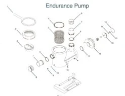 Endurance Pump